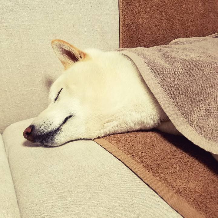 57e2a691 e711 41f9 b2b0 db75a803f4ec