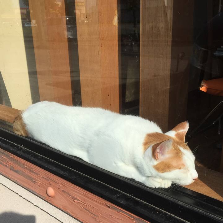 57e341da 2616 4ed5 940a d82472cf1e4f