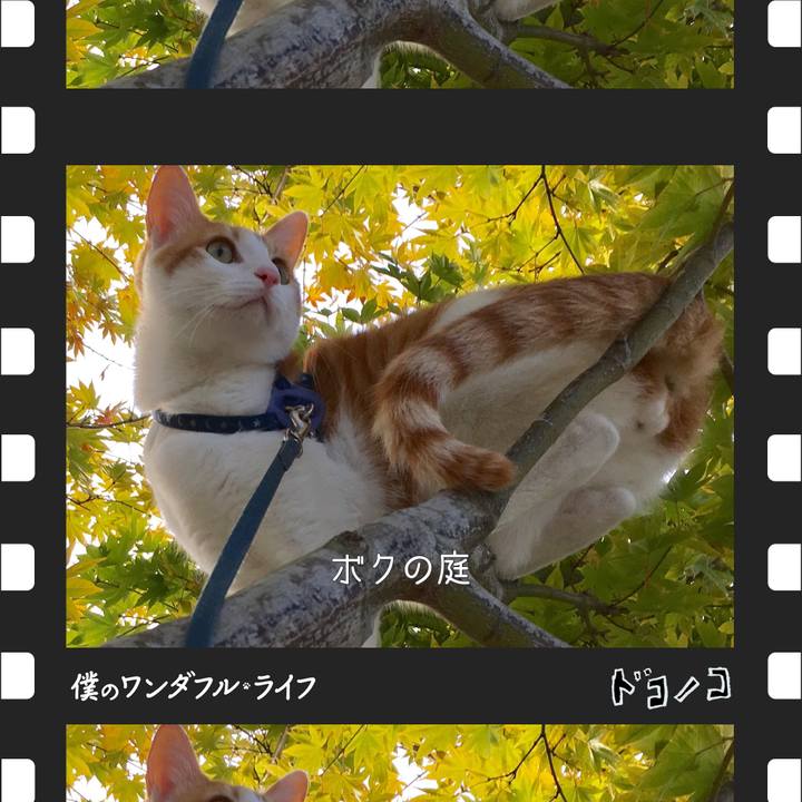 57e37700 d466 4ee8 aa22 6c3687e1785a