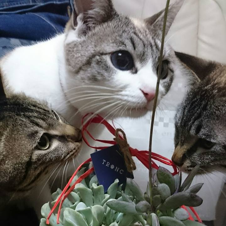 57e3d03b 2da0 48e7 838e 2cd65644e2c3