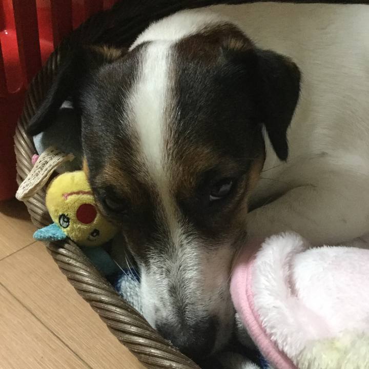 57e3d1c1 bab9 44fa 8a3f 9092cf116b7d