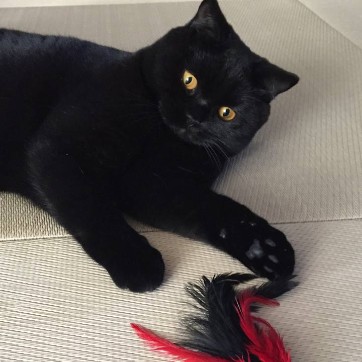 57e3dc0b 85a5 454f a11f 033c254d95e5