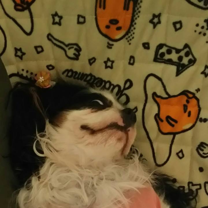 57e46bba b425 481f b58c 96c9a1de79e4