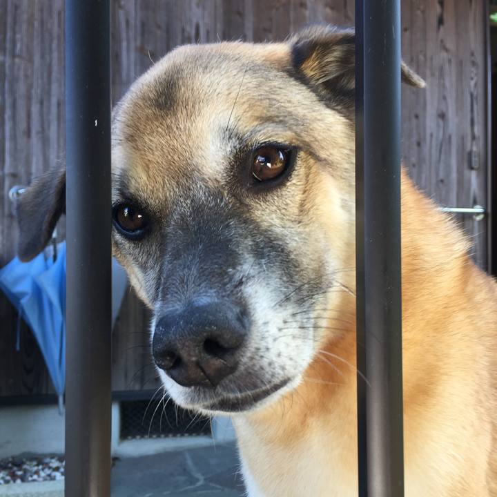 57e4830a 2f6a 4262 95a1 2ad3b2439191