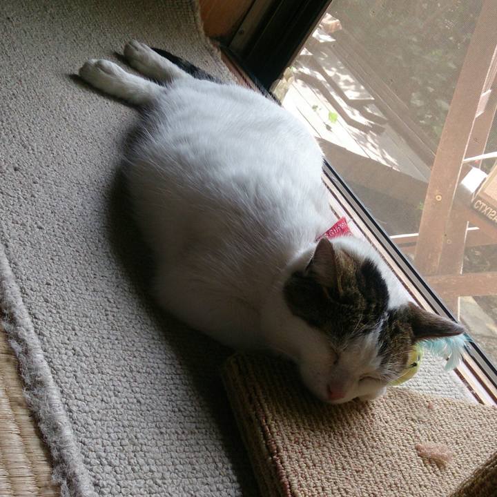 57e50eed 993b 45b8 b5b1 d1f9818e933c