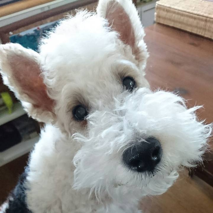 57e56543 8261 49fb be81 522d72818456