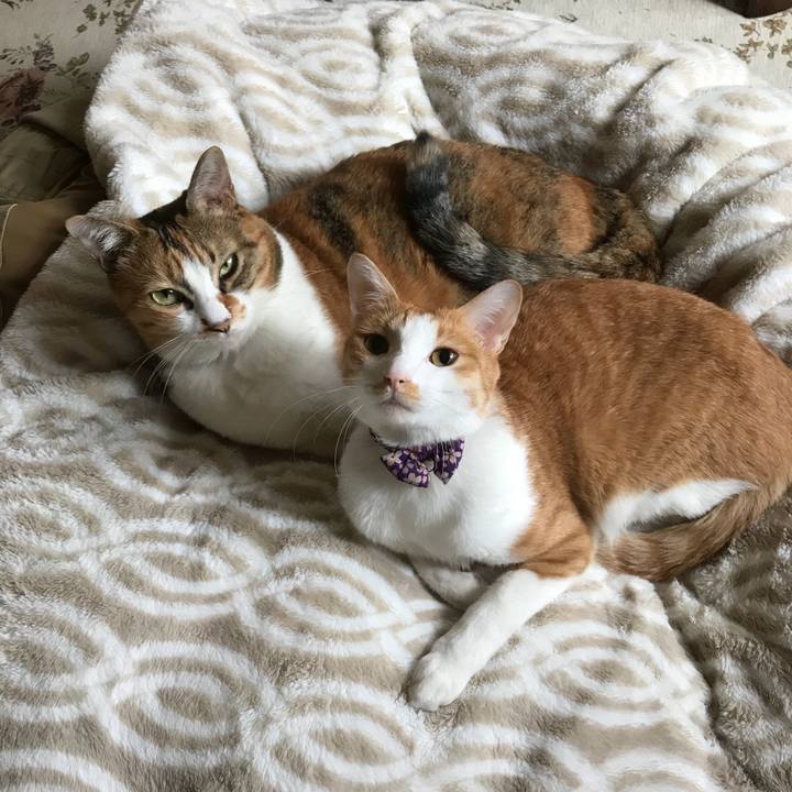 57e64f84 b7e4 4f81 8cba 00e9a3a963a7