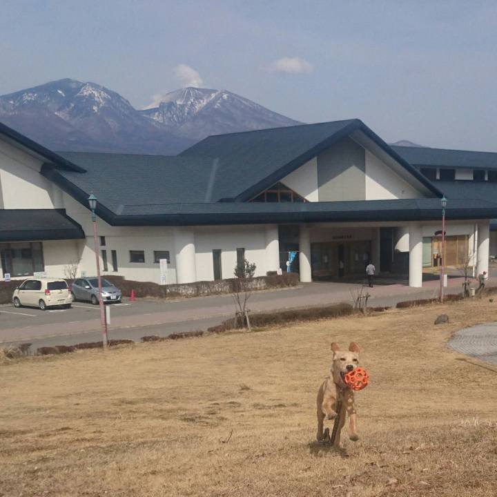 57e6877b 2a62 45cd 812e 5169cee4f94d