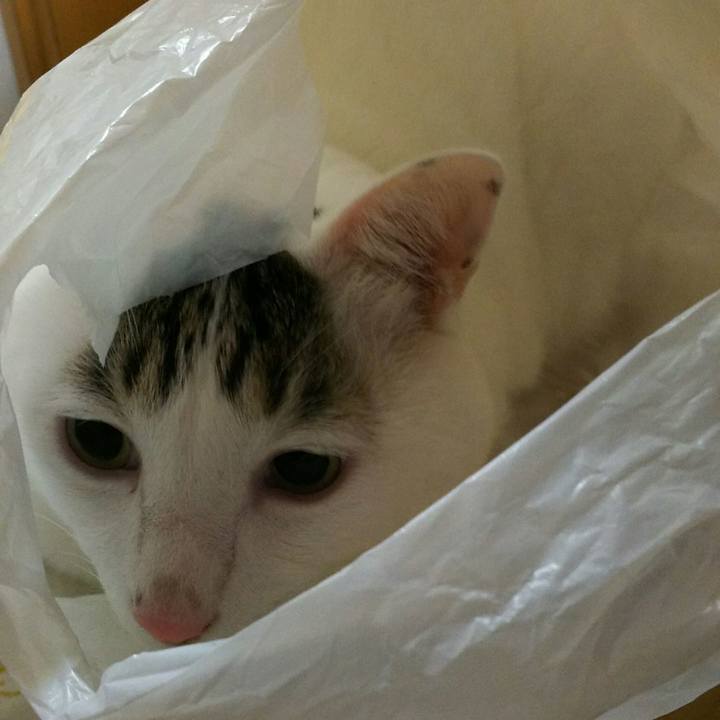 57e6b603 e949 4c6f a64a b63db0bd7ba8