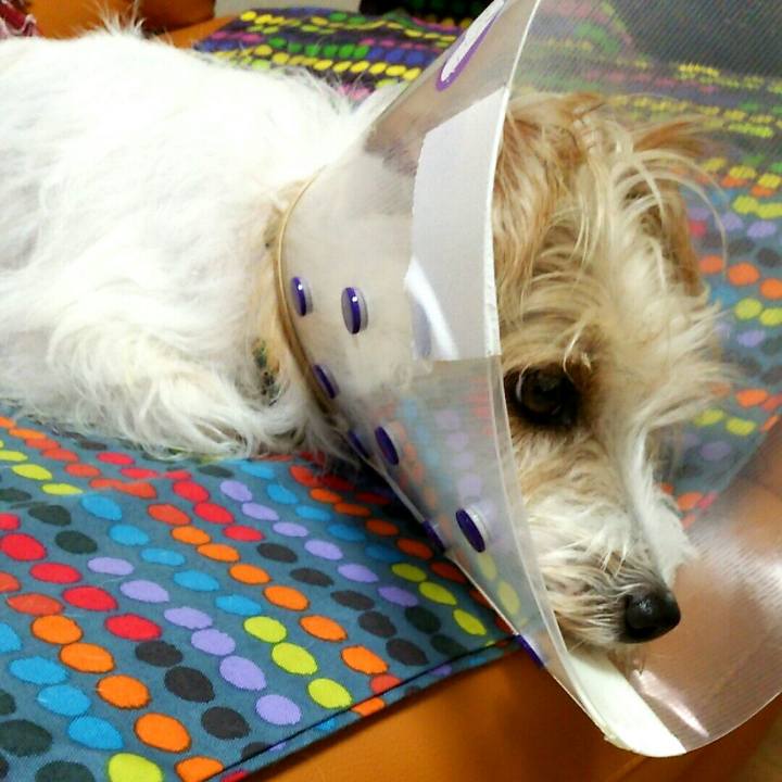 57e72bbe 837f 483a b79e 4e8f98cd5048