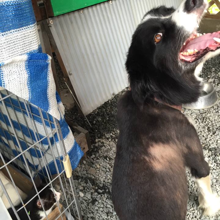 57e76b3c 190e 48e4 885a 4d69f362256d