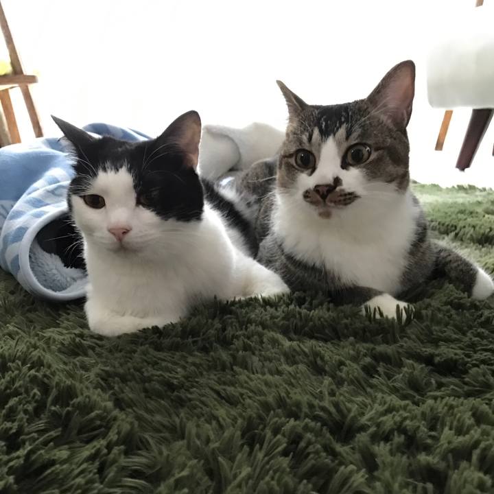 57e8607a 4143 4272 9cde 1b10fb68a563