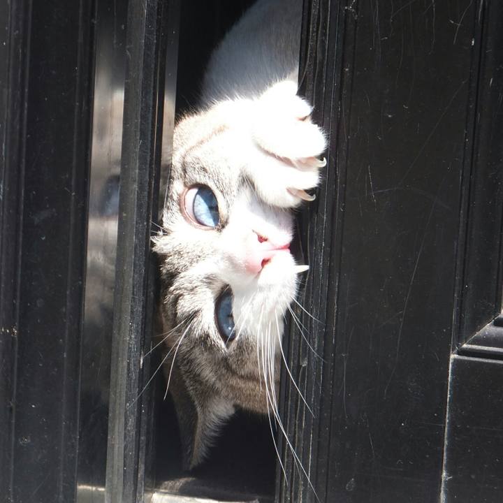 57e9f430 9818 46c4 b89e 4b7b68049412