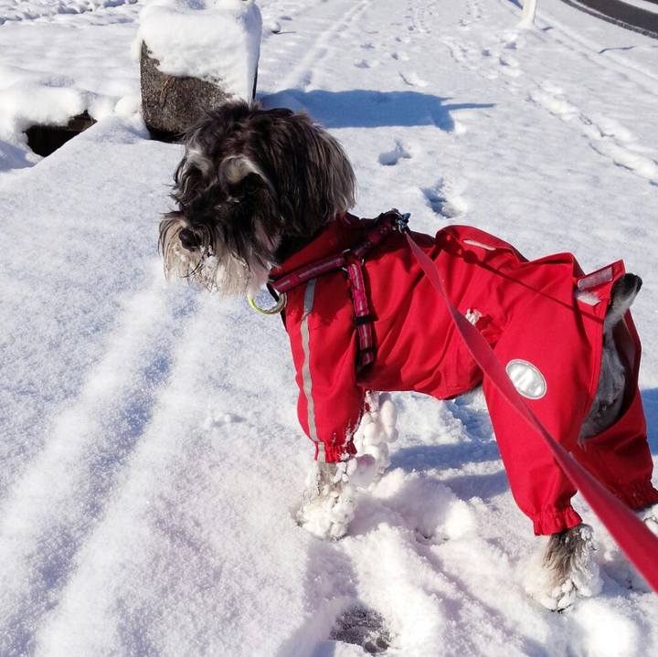 57eacd61 24a4 4ad0 9339 d8b7f88d0b4c