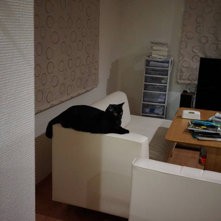 57ec2e3a 529a 4968 98bb 01aec536138b