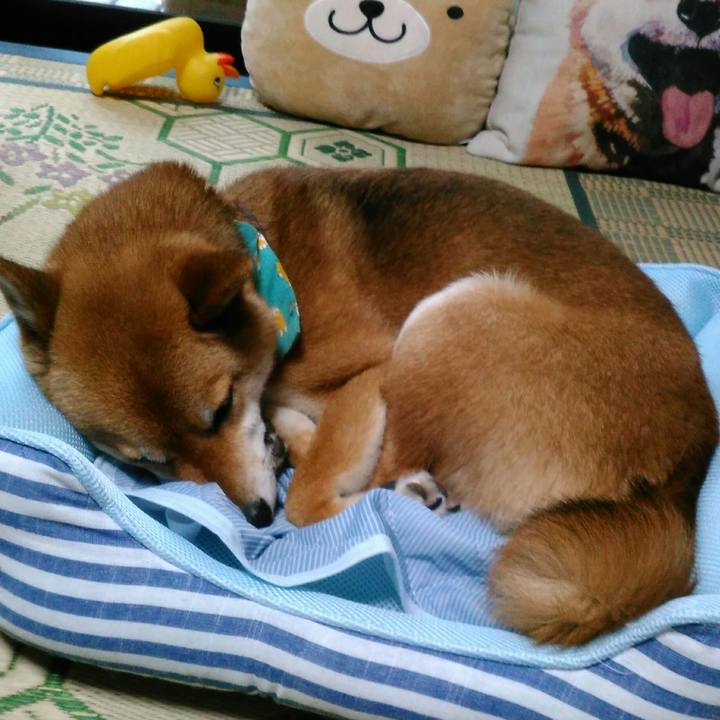 57ec6c6c 7fb8 452c b695 22d2ecb9e046