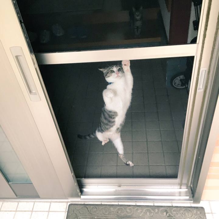 57ec9fa4 8494 47b3 9522 b4e17b95b4bb