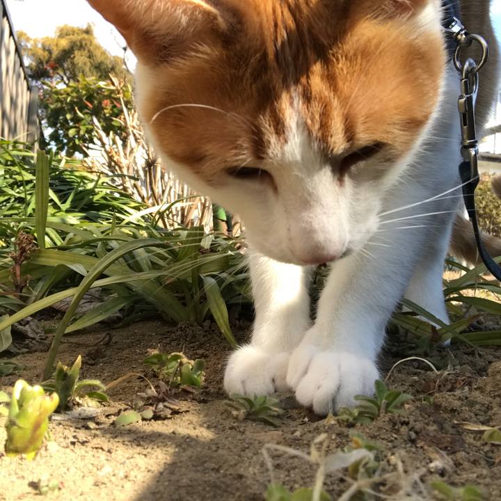 57ecf8e4 c0e5 4b4d 8f70 f76175656bbe