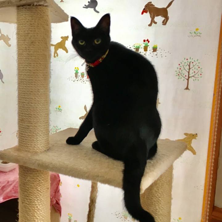 57ed59e5 ffd5 40e6 ad8d 1d07c527e50a