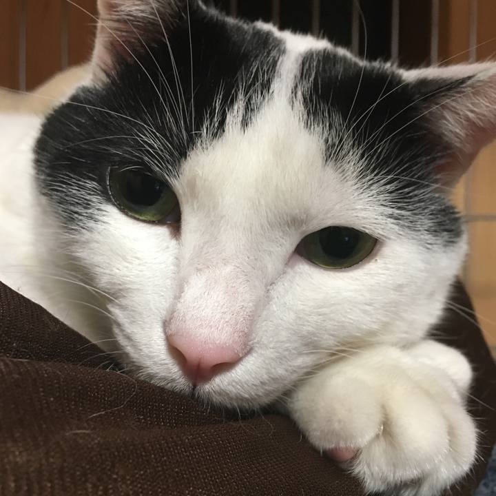 57ed7430 9c9c 4cfe a434 fbada8650484