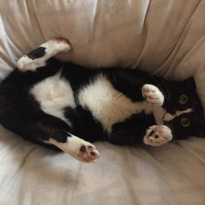 57ee9691 da2f 43da 9106 eaeed4490244