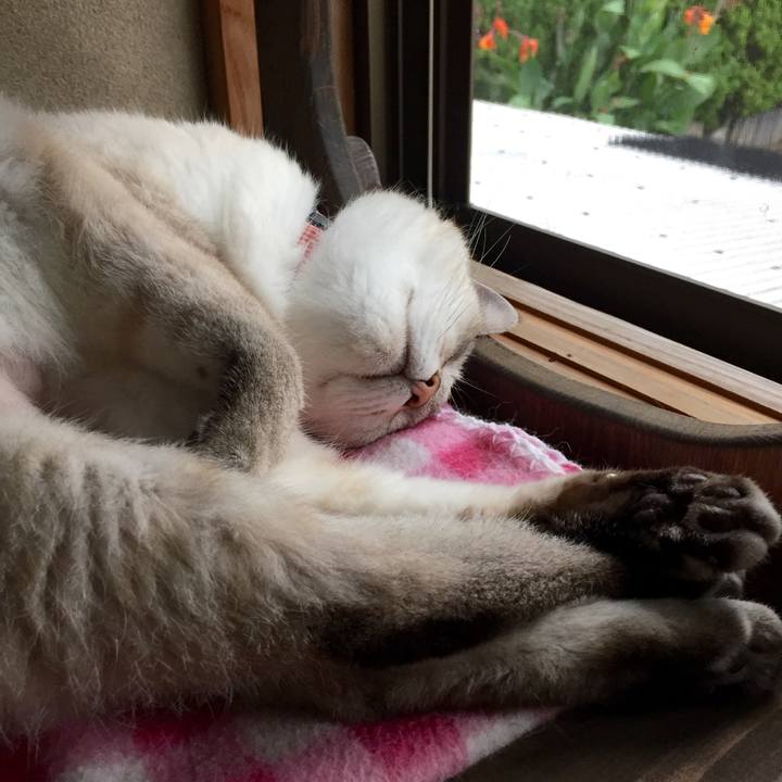 57eeca63 d6ec 40ff bcea e8c66b558b37