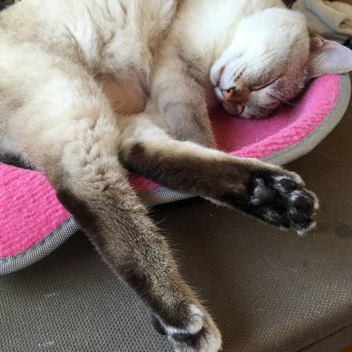 57efb588 8ce4 40bf 881d 5bce66efe78b