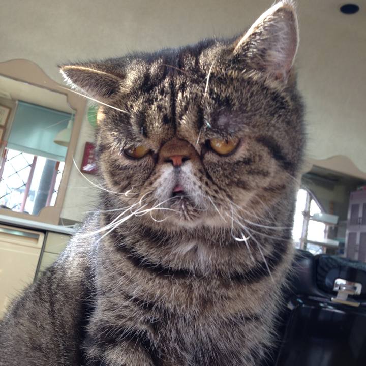 57f02266 4cc1 44f3 946a bf5dd4c257d6