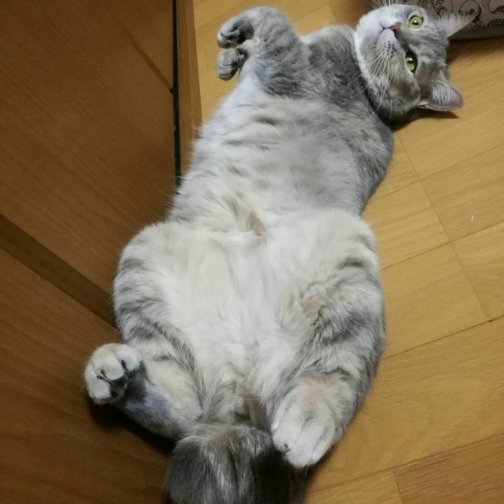 57f0a5ce ca4e 4f71 ab5f d8d540bb6a10