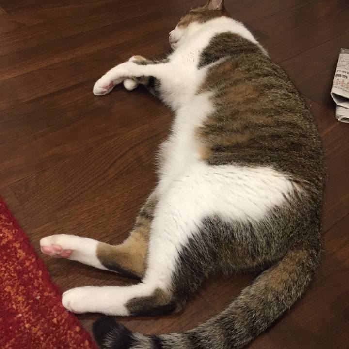 57f12f42 cb16 4f91 907e 82b24643456c