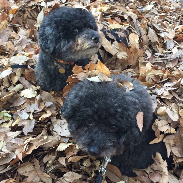 57f151d2 f0ca 4d21 b58a fef01d2eb2dd