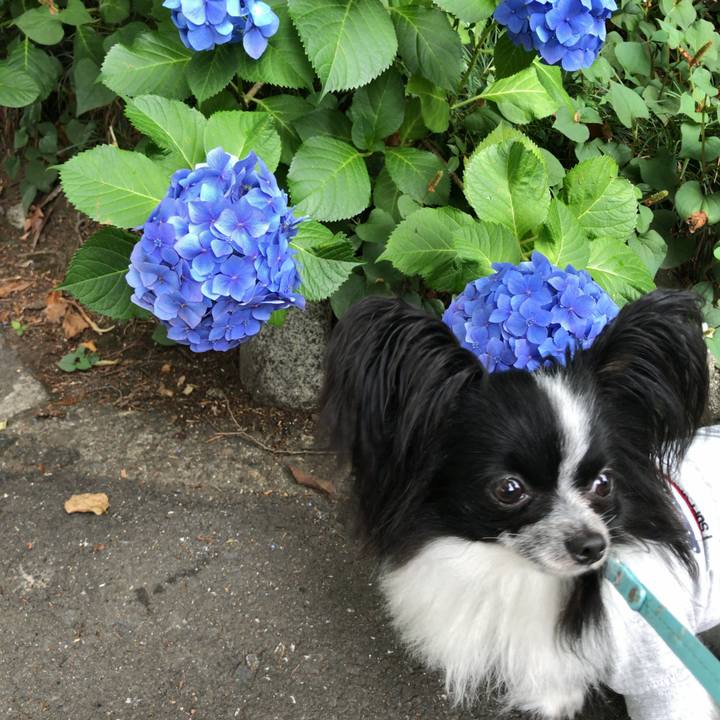 57f1ccbc afa1 4b42 adc2 821d2ce8ec56