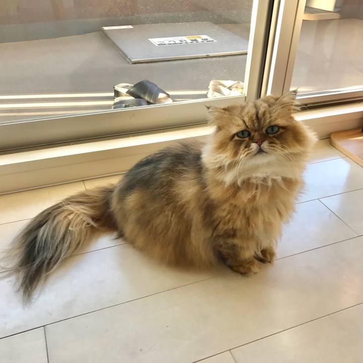 57f23444 109c 47f1 9288 e3c146b3ab39