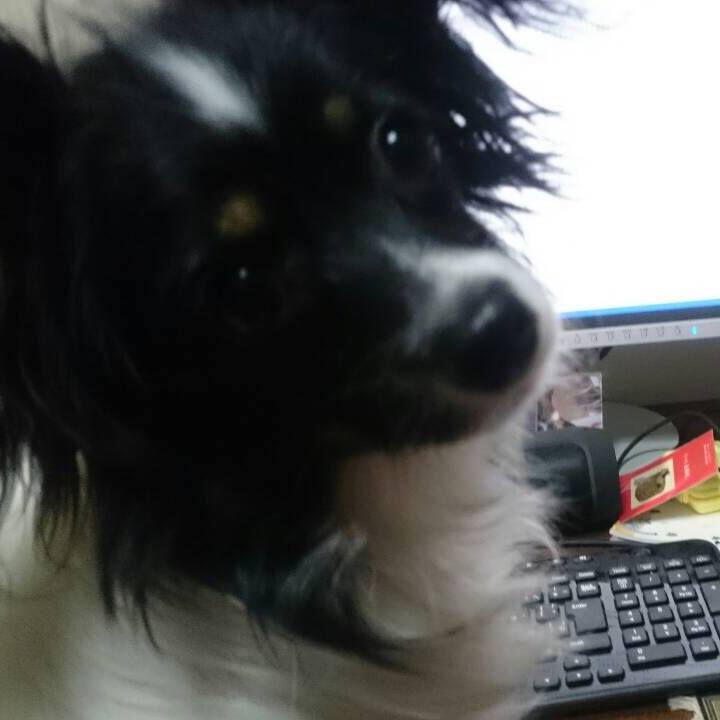 57f2f83b be05 4d03 8bc0 01c215266ef2