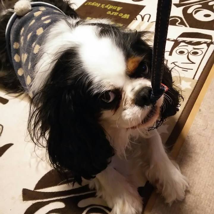 57f30702 3560 4307 92ce 0d15948fd3e9