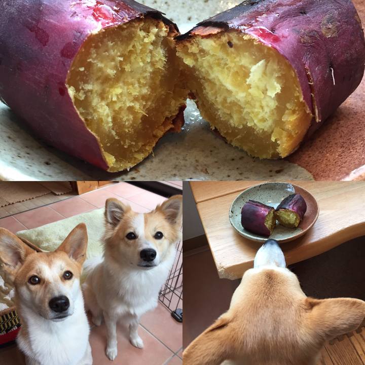 57f31ebe 5dd2 4343 ac12 cf74a47bb125