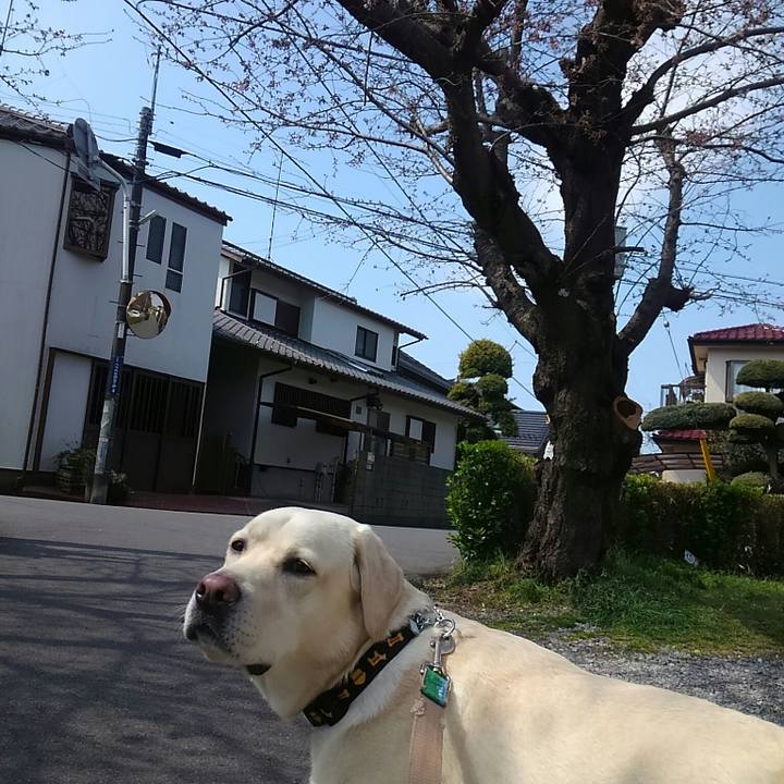 57f37919 97c7 4cc5 8209 382afa09adb0