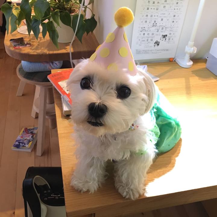 57f3a769 643c 478c 855b 1c1724c5ccd9