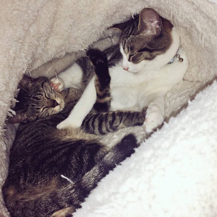 57f3da84 b931 41d0 a575 09d36d39cbf7