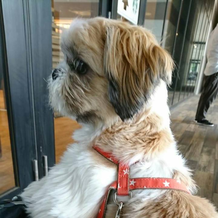 57f3f432 e4a7 4757 8928 9454de9609d0