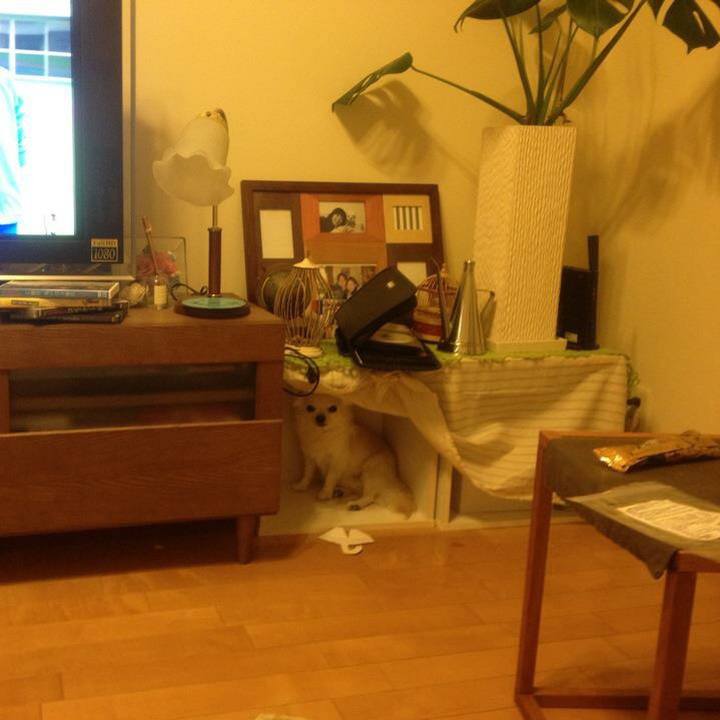 57f416e2 4a41 4eca 8700 b512f86f3444