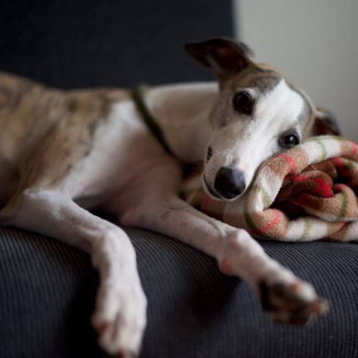 57f470ea f9fc 4d9e a1d8 5188c900dd10