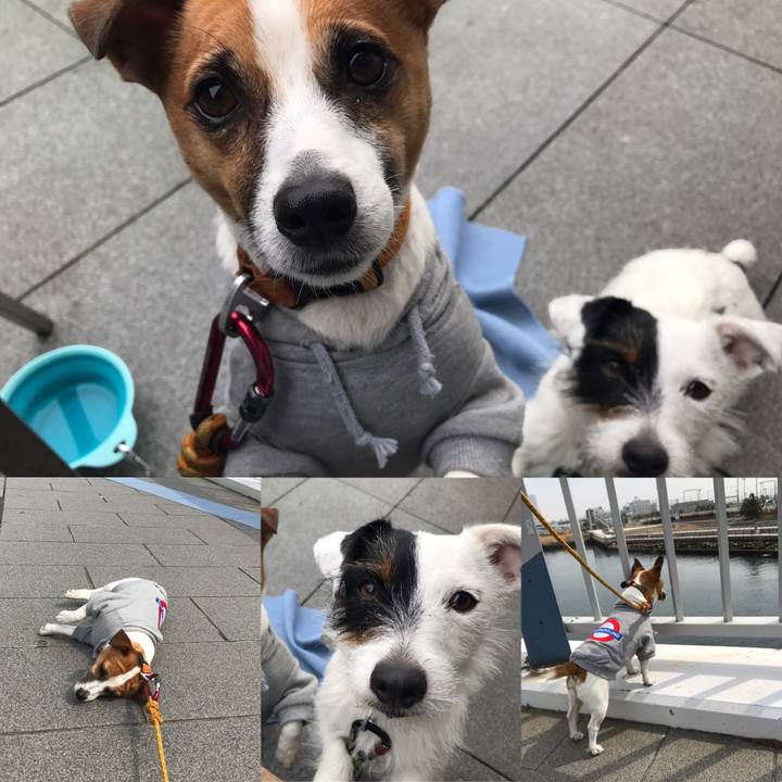 57f53b5f 911d 4a95 b056 d3d73c65efb9