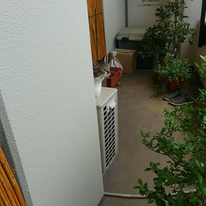 57f65d4d c264 4d5c 80fa 823c31e8e339