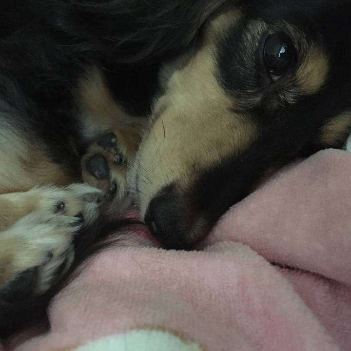 57f69244 b54a 4c45 b050 c30733c58d25