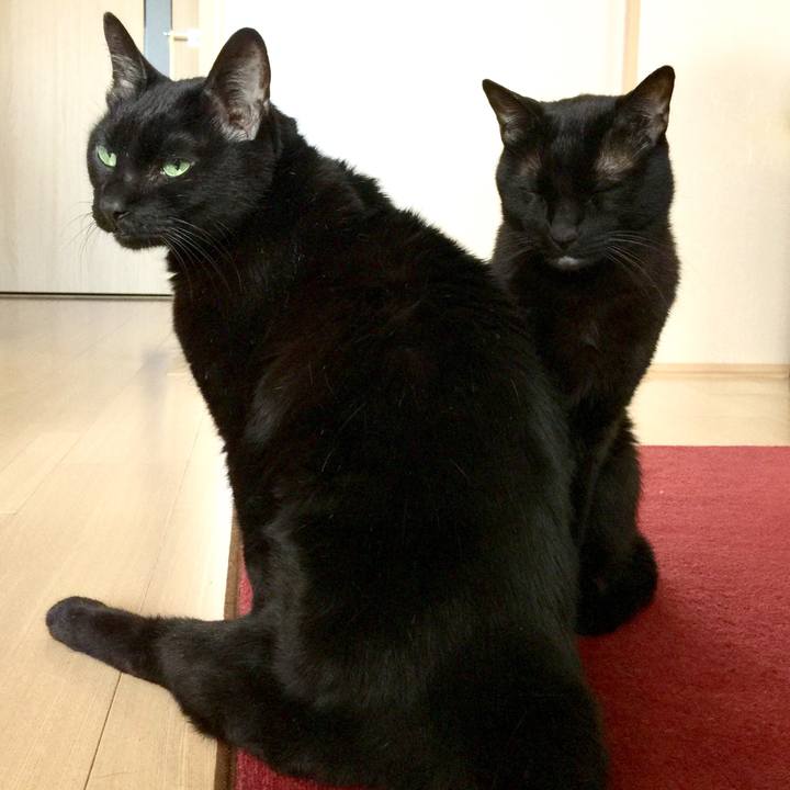 57f69326 e560 452d 8bf9 bef4340a8801