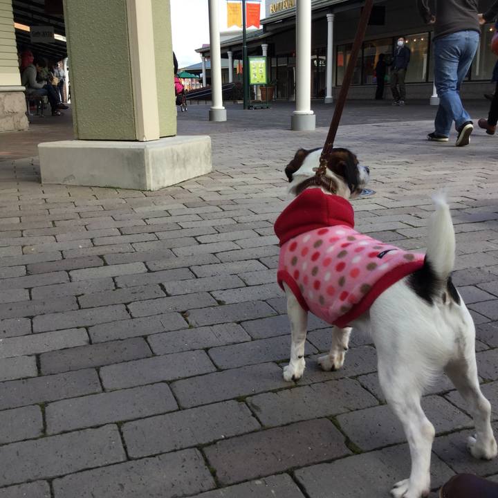 57f6b729 0f23 4ae7 a0af f01343b6a382