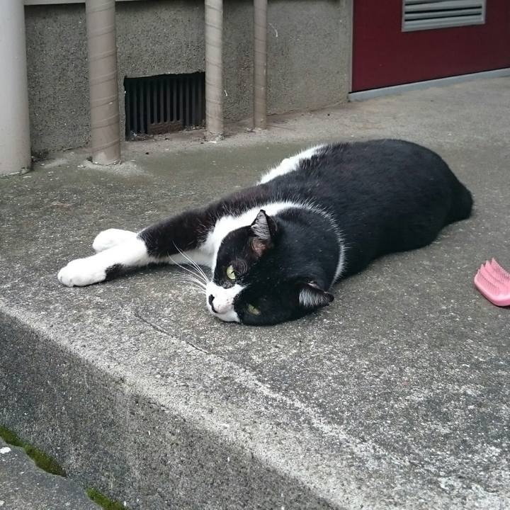 57f6c1da c0f9 4c05 a07e 11f5bdc4f3c0