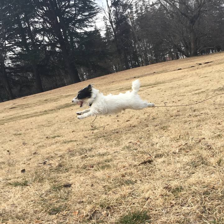 57f6fd7f d3ee 4601 9533 7916d0a0dfa6