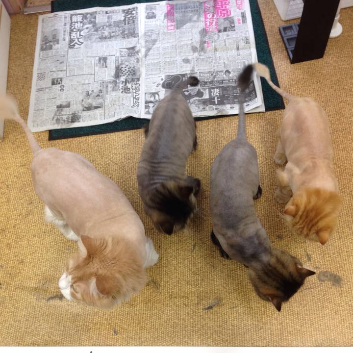 57f72197 30de 4432 aeae b42f0dc4f811